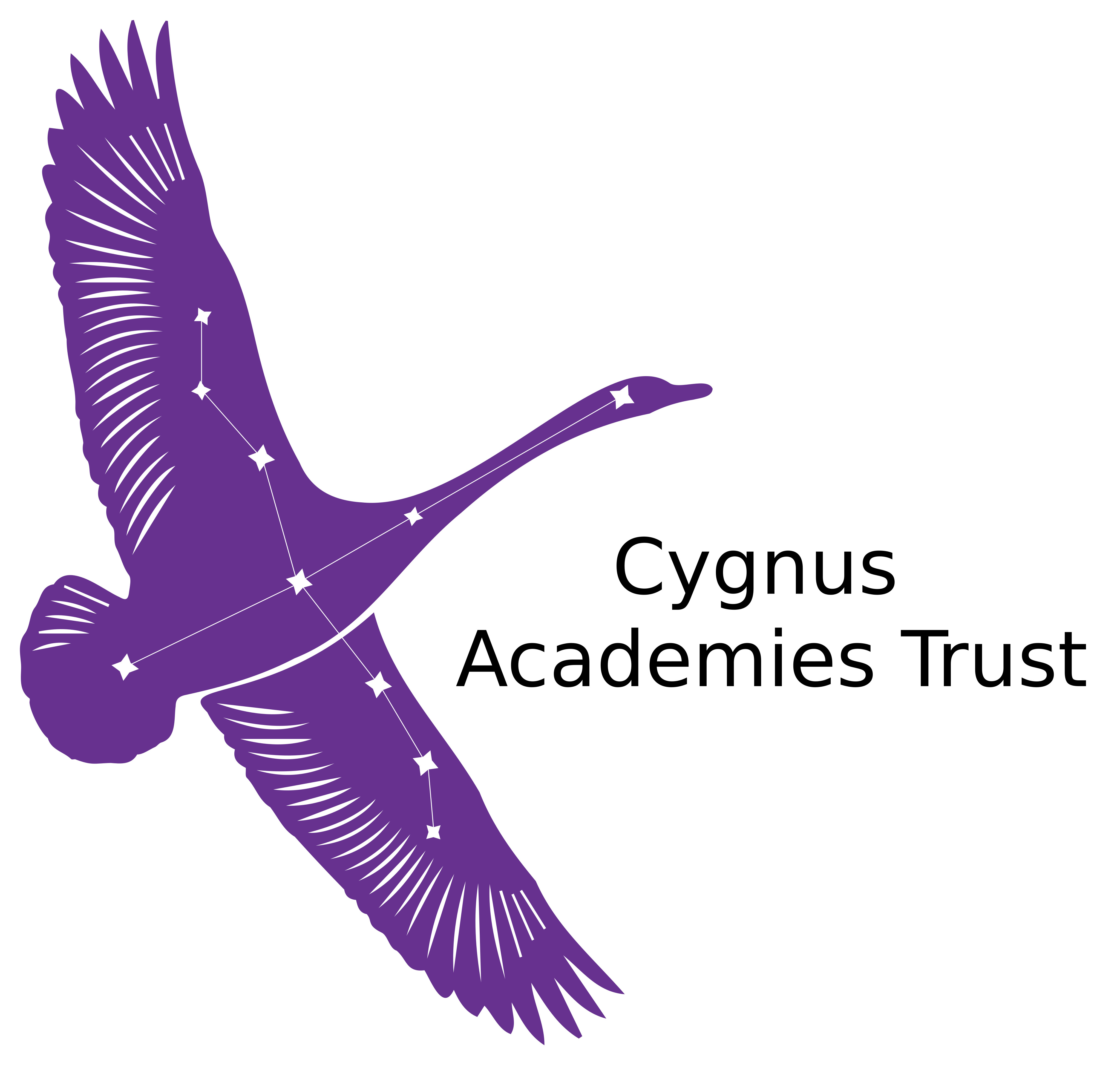 Cygnus Trust Site Audit (Estates Team Use Only)