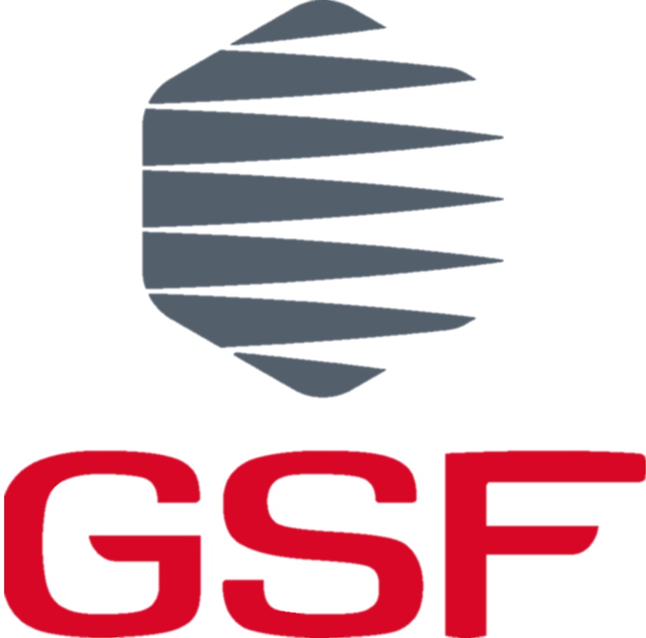 GSF Cleaning Report 