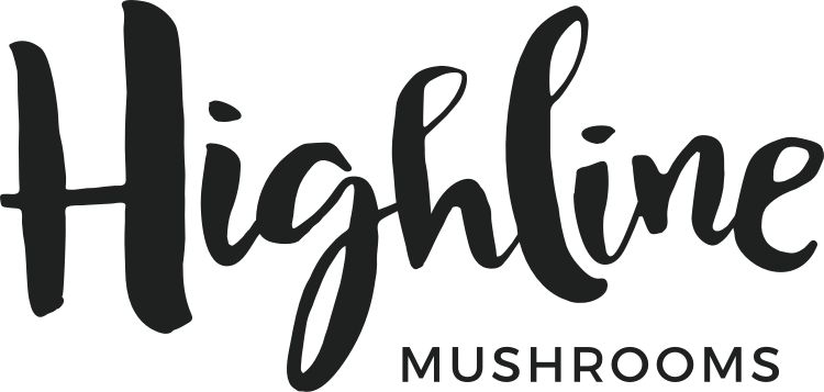 Emergency Evacuation Drill Evaluation 