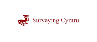 Surveying Cymru - Post Extraction Report  