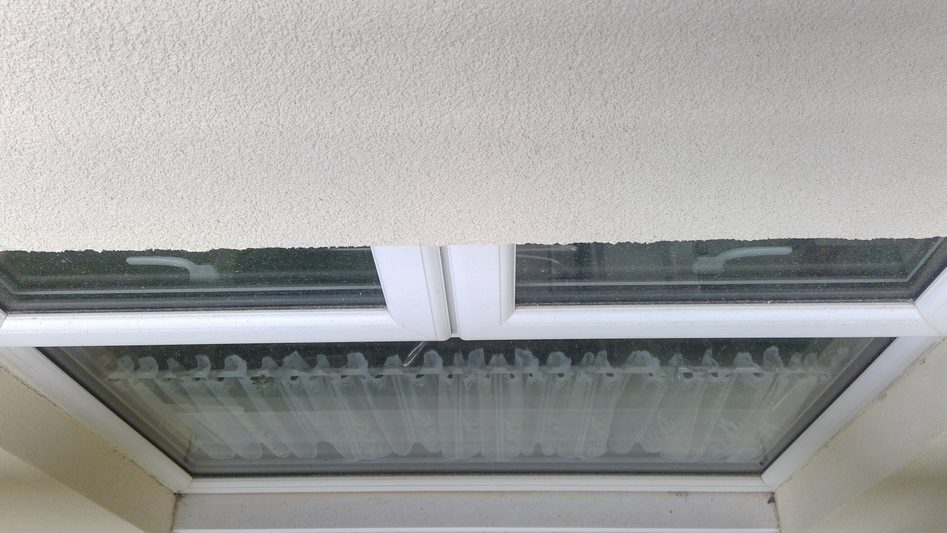 Internal Survey Revised v2