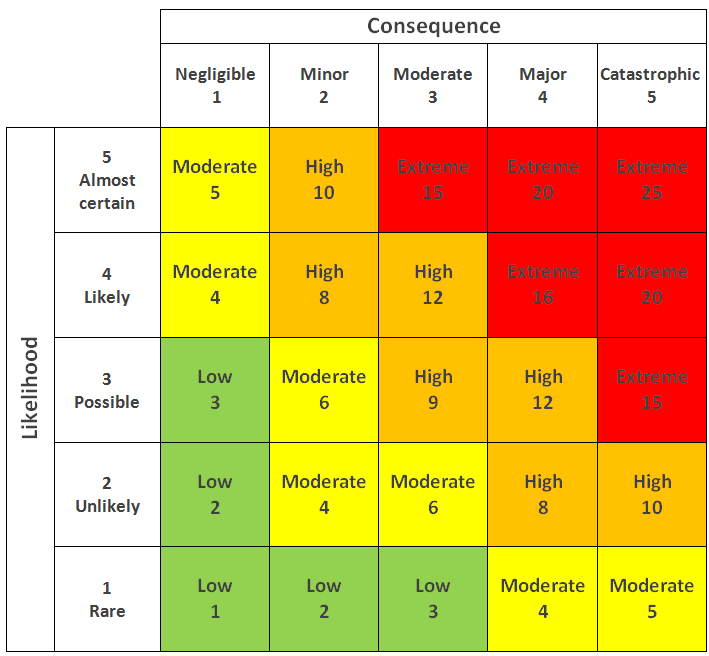 Risk & Priority Matrix Example Template