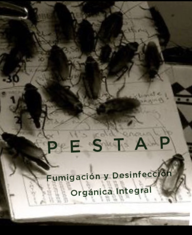 PESTAP 