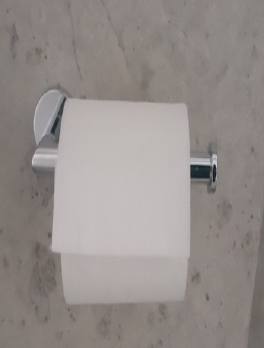 Toilet paper.png