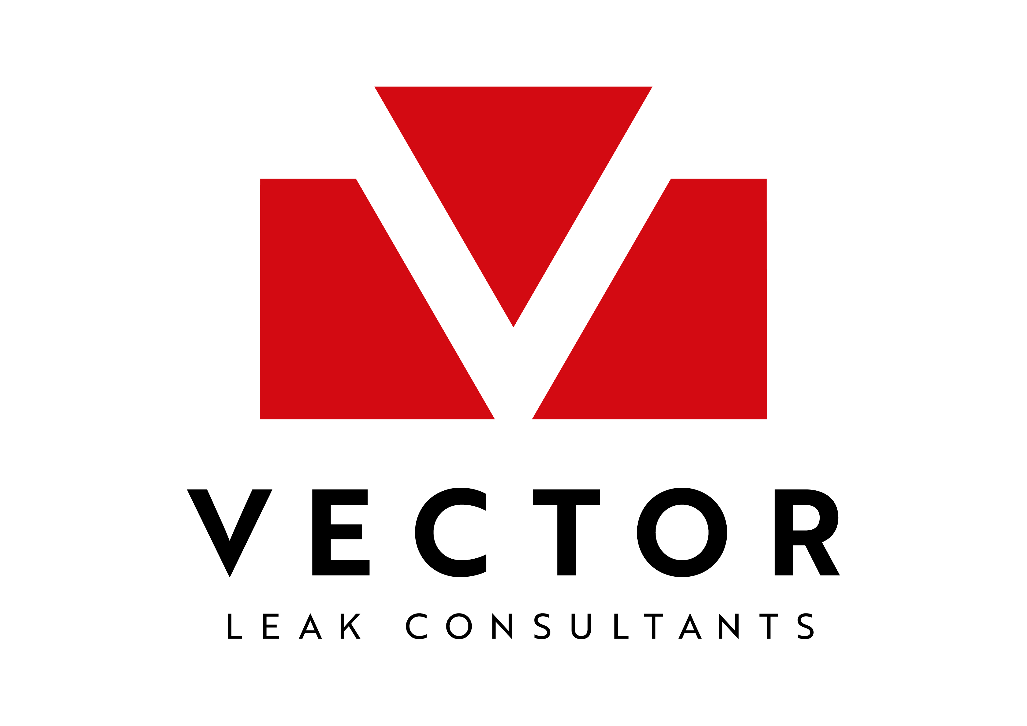Vector Leak Consultants