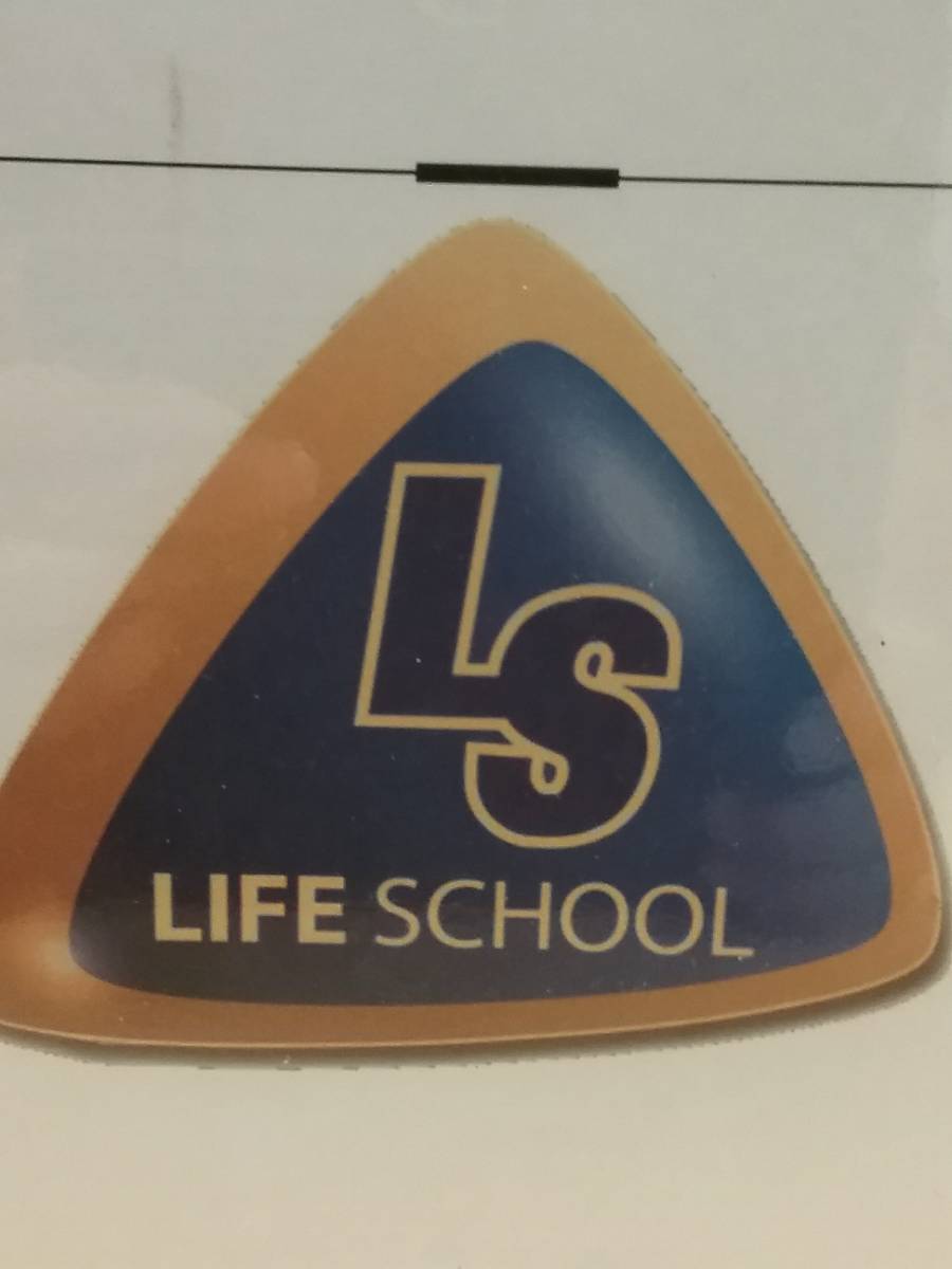 Life School Site Audit