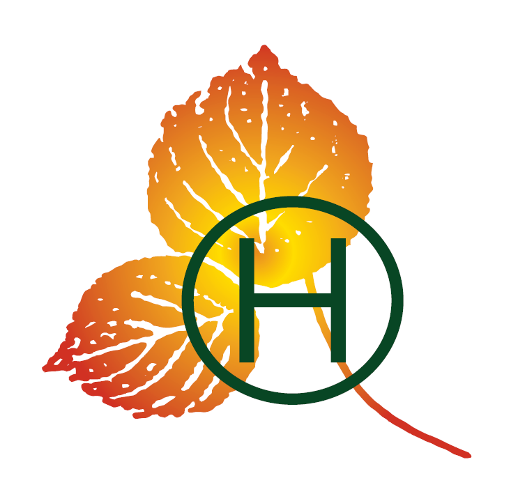 Depot Detailed Audit  Report