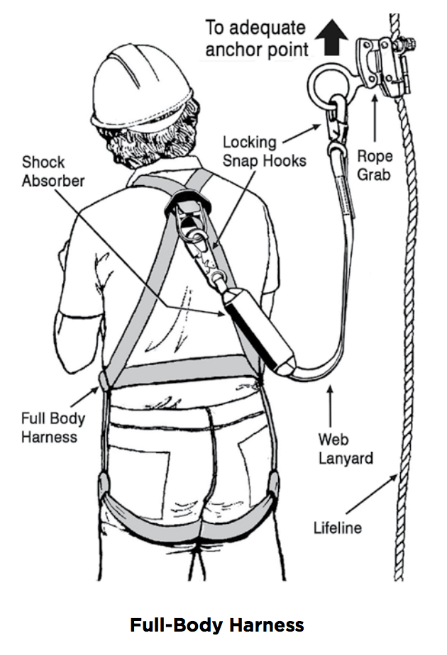 Full_body_harness.png