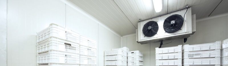 cold_room_banner.jpg