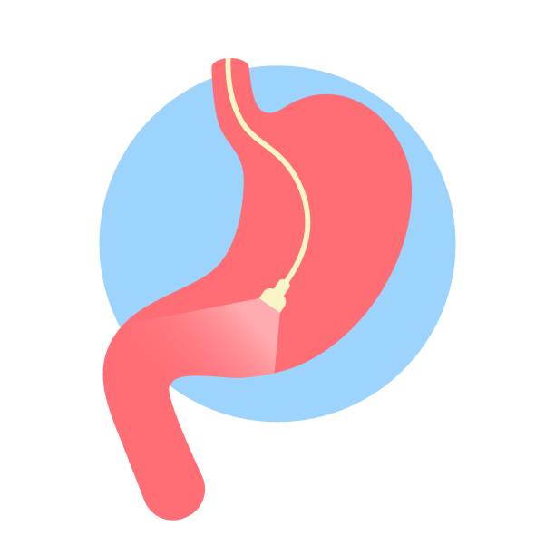 Endoscopy - UM WalkRound Cross Audit