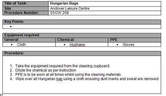 cleaning hungraian bags.JPG