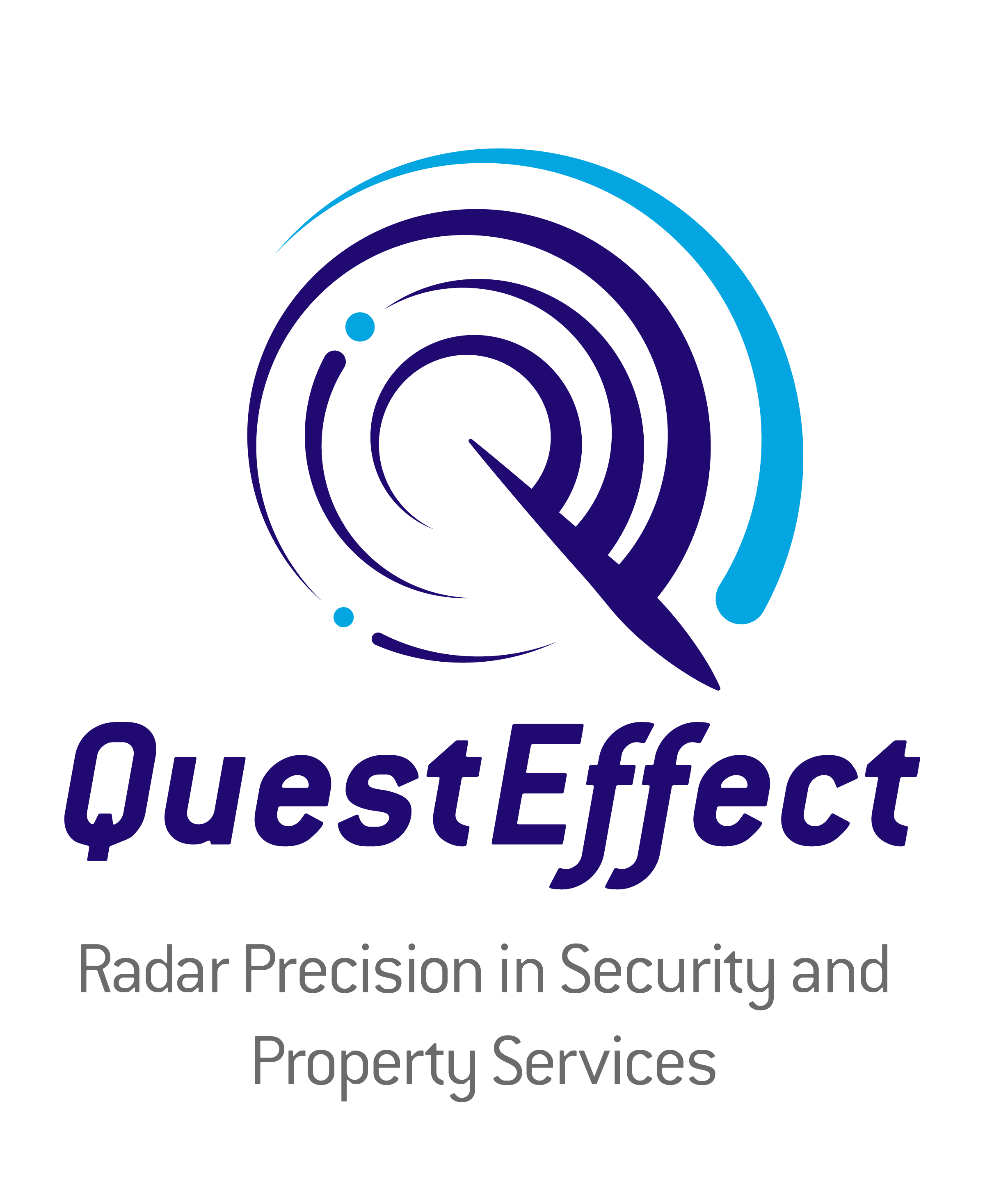 Quest Effect Cleaning inspection report