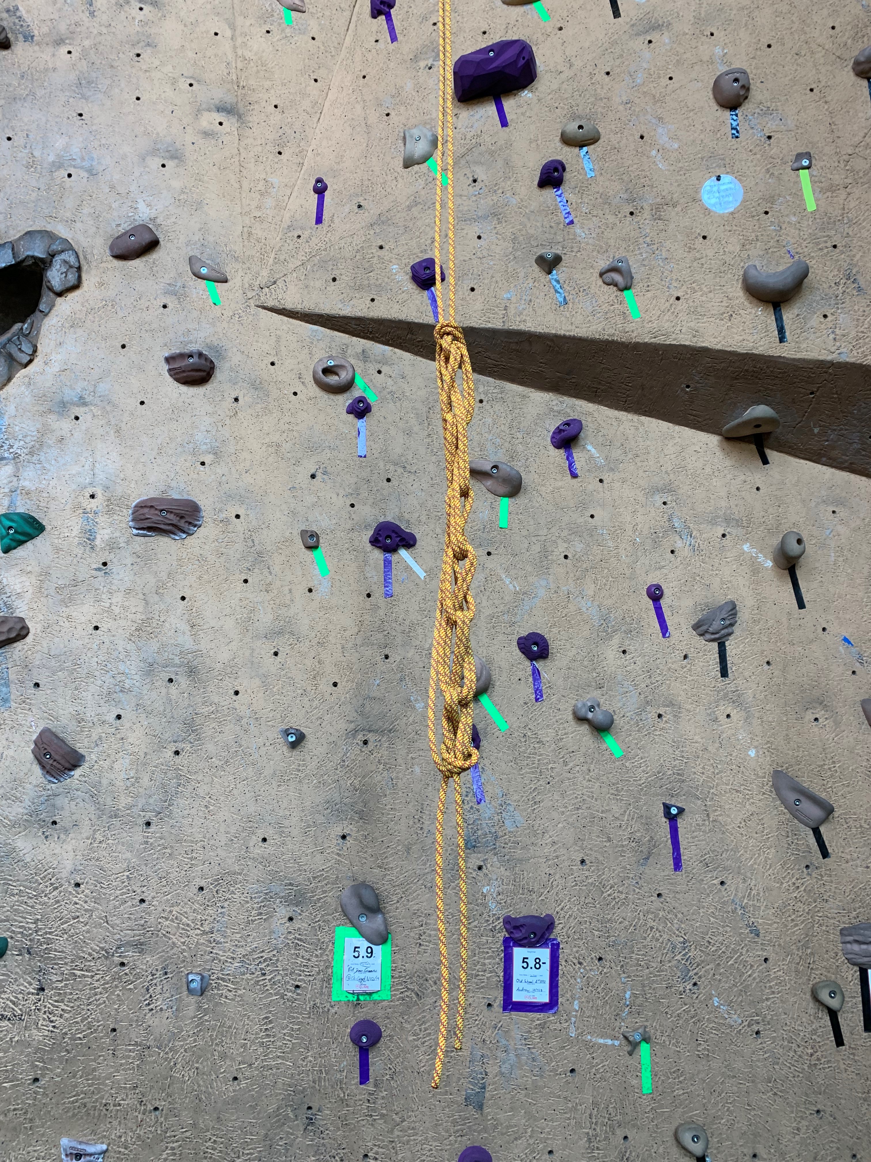 Daisy Chain - Correct (1).jpg