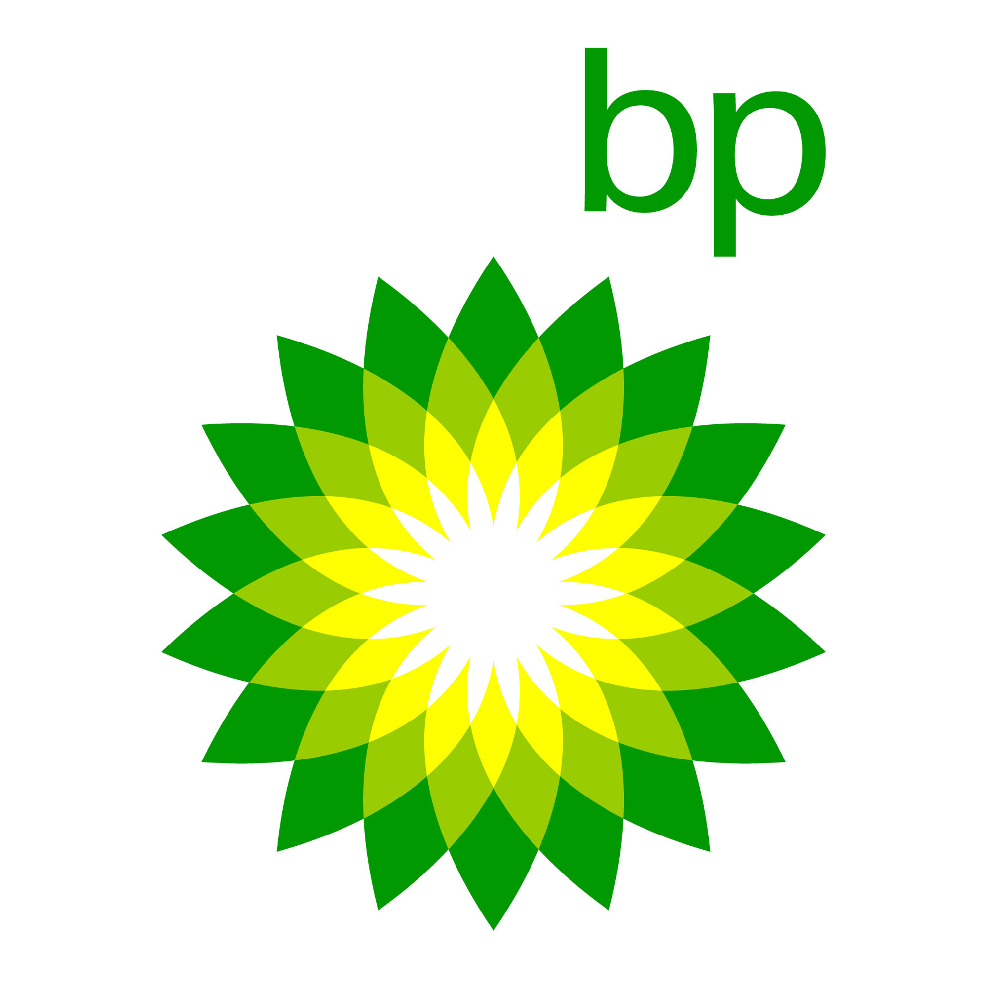 BP CUSTOMER SOLUTION AUDIT                             DRAFT