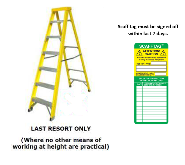 Step ladder.PNG