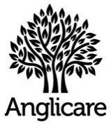 Anglicare Internal WHS Audits