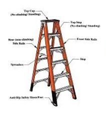 LADDER.jpg