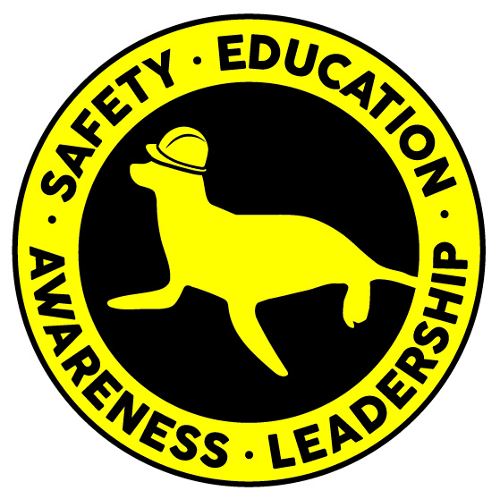 Injury Investigation