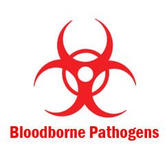 Element 8.1   Bloodborne Pathogens -  Gap Analysis  