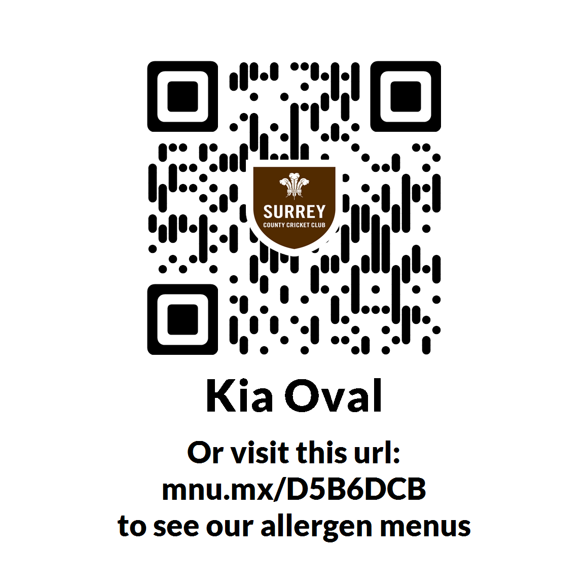 2024 Drinks QR Code.png