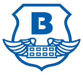 Global - Branch audit (Local)