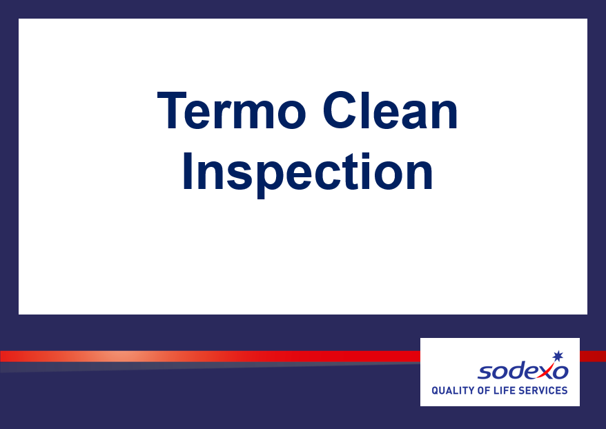 Termo Clean Inspection
