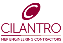 Cilantro - Functionality Inspection