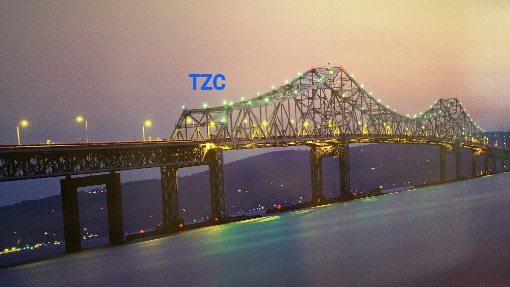 TZC Safety Assessment 