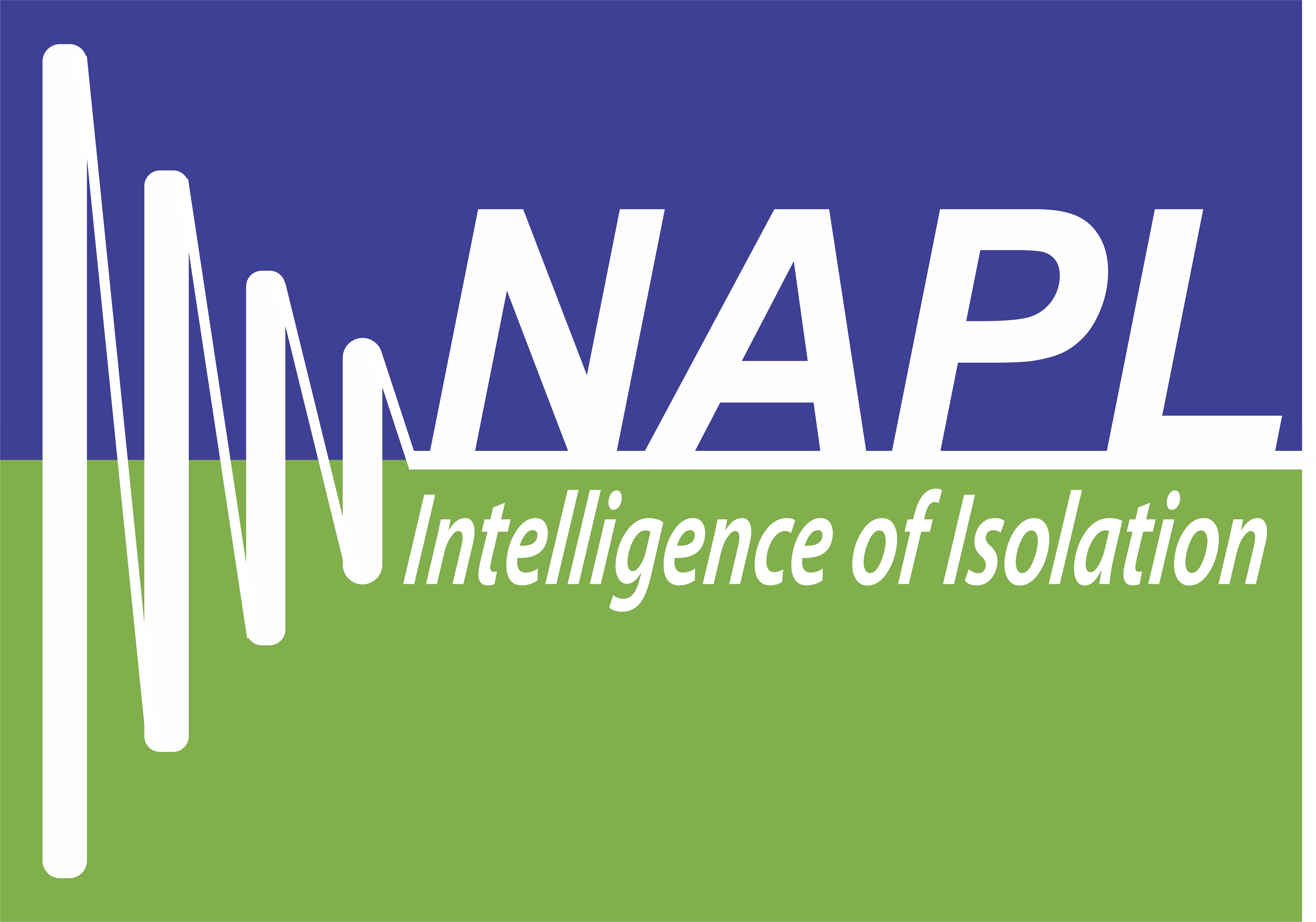 NAPL - Safety Audit Check List