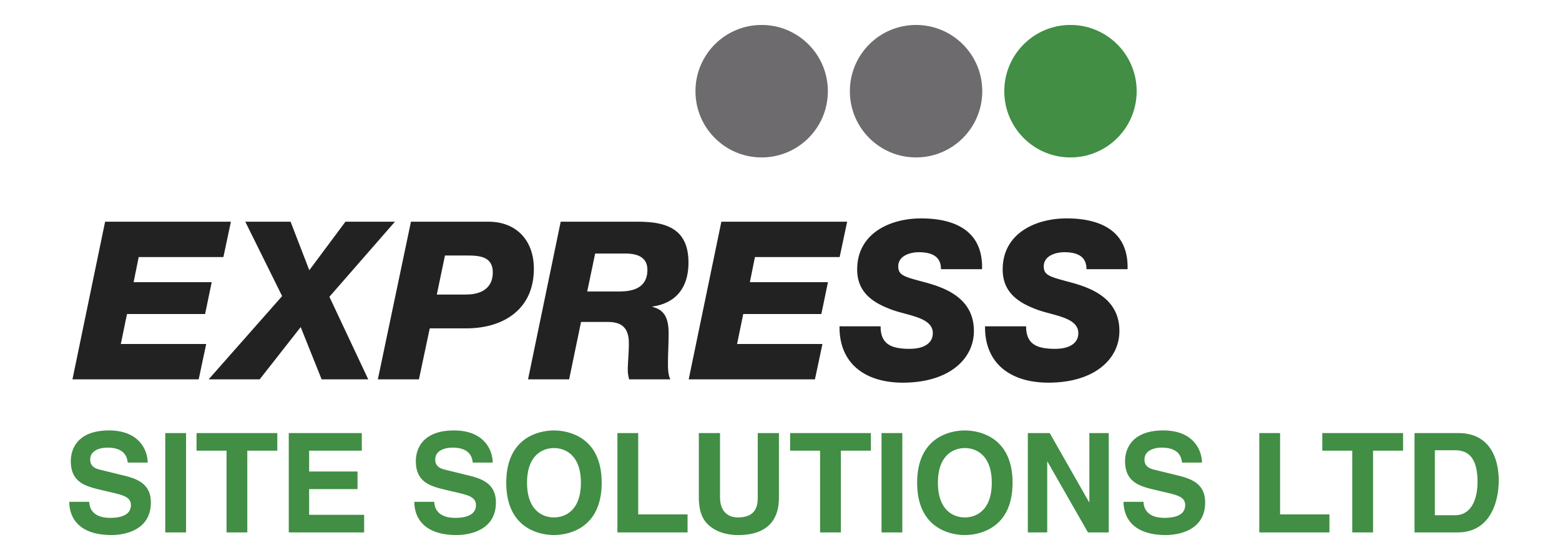 Express Site Solutions LTD - Statutory Scaffold Inspection - Rev 1.3