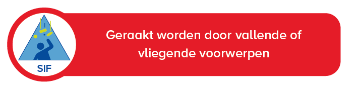 Struck by falling or flying objects.png